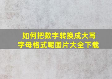 如何把数字转换成大写字母格式呢图片大全下载