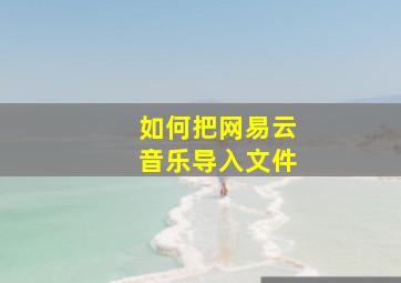 如何把网易云音乐导入文件