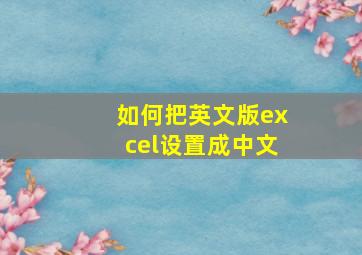 如何把英文版excel设置成中文