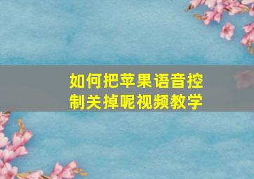 如何把苹果语音控制关掉呢视频教学