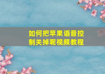 如何把苹果语音控制关掉呢视频教程