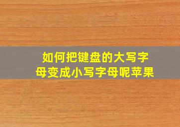 如何把键盘的大写字母变成小写字母呢苹果