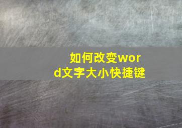 如何改变word文字大小快捷键