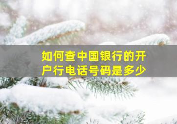 如何查中国银行的开户行电话号码是多少