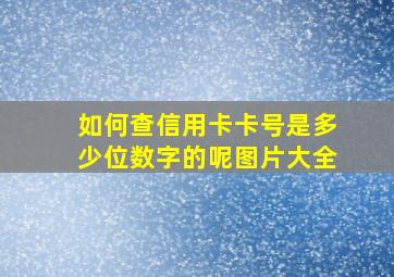 如何查信用卡卡号是多少位数字的呢图片大全