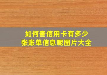 如何查信用卡有多少张账单信息呢图片大全