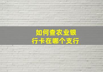 如何查农业银行卡在哪个支行