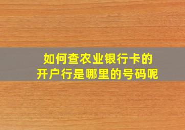 如何查农业银行卡的开户行是哪里的号码呢