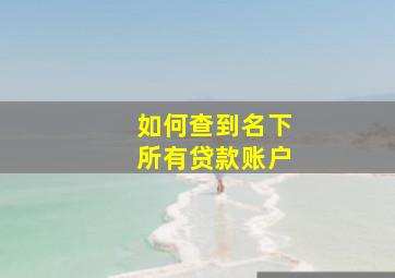 如何查到名下所有贷款账户