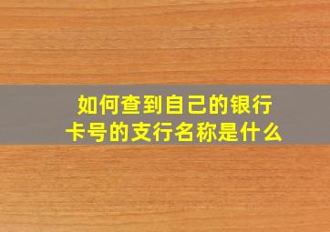 如何查到自己的银行卡号的支行名称是什么