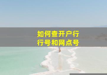 如何查开户行行号和网点号