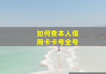 如何查本人信用卡卡号全号