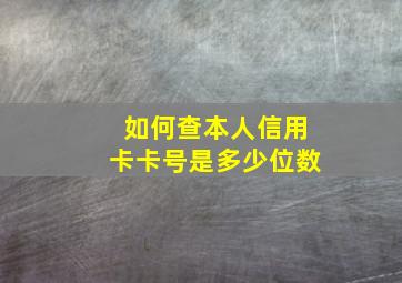 如何查本人信用卡卡号是多少位数