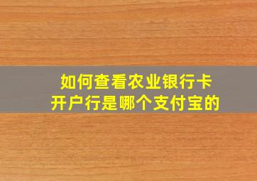 如何查看农业银行卡开户行是哪个支付宝的