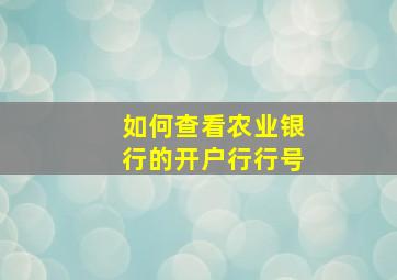 如何查看农业银行的开户行行号