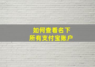 如何查看名下所有支付宝账户