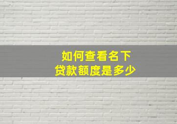 如何查看名下贷款额度是多少