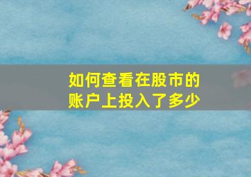 如何查看在股市的账户上投入了多少