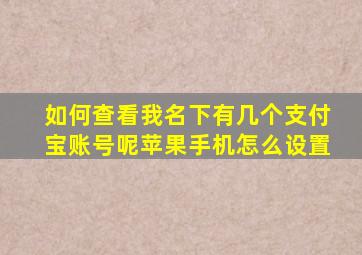 如何查看我名下有几个支付宝账号呢苹果手机怎么设置