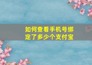 如何查看手机号绑定了多少个支付宝