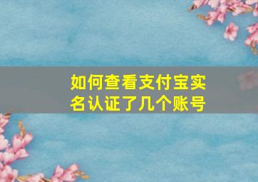 如何查看支付宝实名认证了几个账号