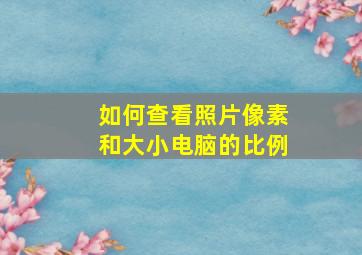 如何查看照片像素和大小电脑的比例