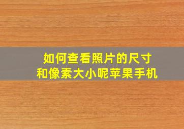 如何查看照片的尺寸和像素大小呢苹果手机