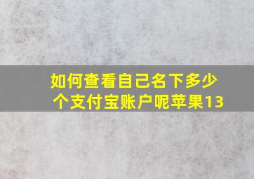 如何查看自己名下多少个支付宝账户呢苹果13