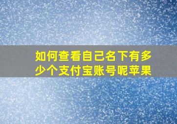 如何查看自己名下有多少个支付宝账号呢苹果