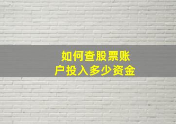 如何查股票账户投入多少资金