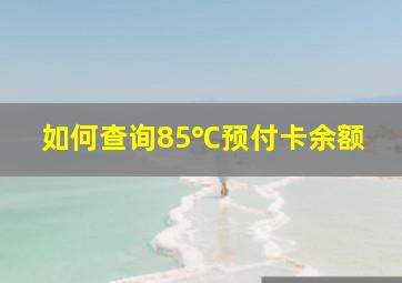 如何查询85℃预付卡余额