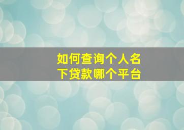 如何查询个人名下贷款哪个平台