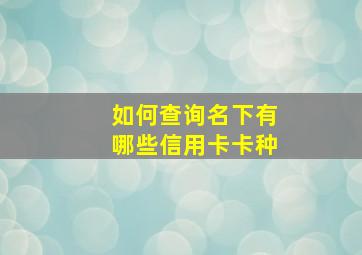 如何查询名下有哪些信用卡卡种