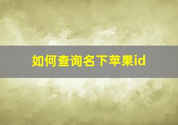 如何查询名下苹果id