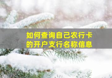 如何查询自己农行卡的开户支行名称信息