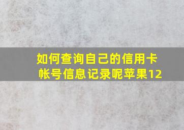 如何查询自己的信用卡帐号信息记录呢苹果12