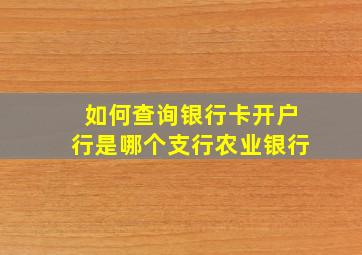 如何查询银行卡开户行是哪个支行农业银行