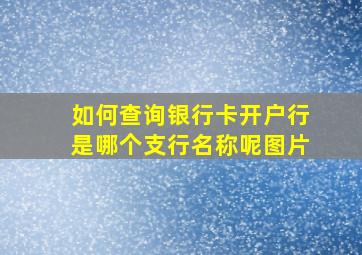 如何查询银行卡开户行是哪个支行名称呢图片