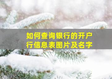 如何查询银行的开户行信息表图片及名字