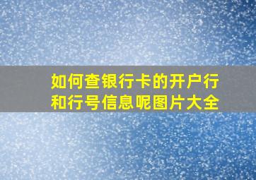 如何查银行卡的开户行和行号信息呢图片大全