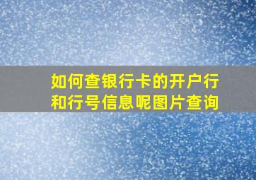 如何查银行卡的开户行和行号信息呢图片查询