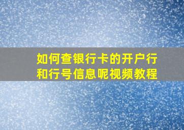 如何查银行卡的开户行和行号信息呢视频教程