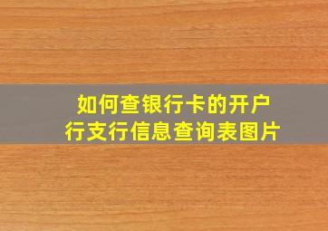 如何查银行卡的开户行支行信息查询表图片