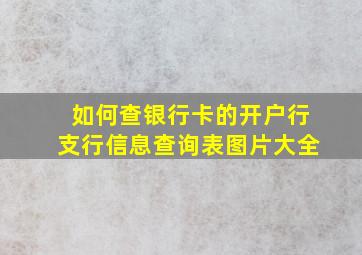 如何查银行卡的开户行支行信息查询表图片大全