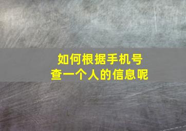 如何根据手机号查一个人的信息呢