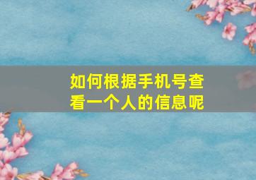 如何根据手机号查看一个人的信息呢