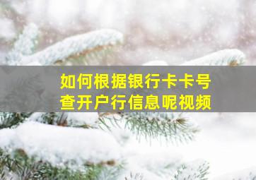 如何根据银行卡卡号查开户行信息呢视频