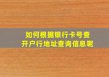 如何根据银行卡号查开户行地址查询信息呢