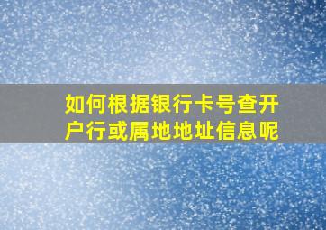 如何根据银行卡号查开户行或属地地址信息呢