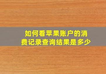 如何看苹果账户的消费记录查询结果是多少